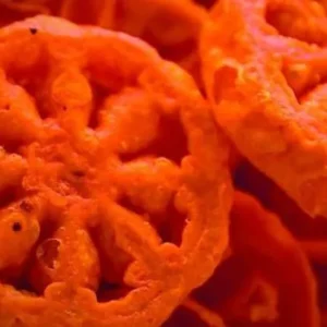 solteriitas